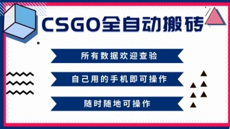 CSGO全自动搬砖，年底钱回家好项目，当天可拿到结果，新手小白轻松月入1W+【揭秘】-副业资源站
