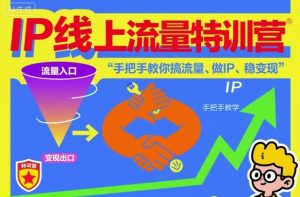 IP线上流量特训营，手把手教你搞流量、做IP、稳变现-副业资源站