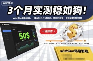 3个月实测稳如狗！wishlba最新项目，一键运行日入50美刀，单窗口躺挣，保姆级教程全给你【揭秘】-副业资源站
