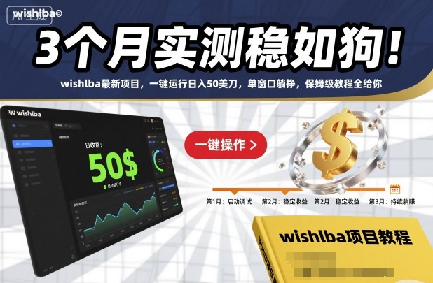3个月实测稳如狗！wishlba最新项目，一键运行日入50美刀，单窗口躺挣，保姆级教程全给你【揭秘】-副业资源站