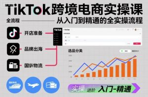 TikTok跨境电商实操课，从入门到精通的全实操流程-副业资源站