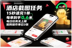 酒店截图任务，15秒速完1单，每单到手0.6米，每日任务无上限，全网首发玩法，矩阵操作单日3张【揭秘】-副业资源站