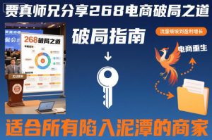 贾真师兄分享268电商破局之道-适合所有陷入泥潭的商家-副业资源站