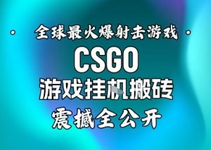 【年底大揭秘】基于全球最火爆的射击CSGO游戏挂G搬砖，日入5张+，震撼公开-副业资源站