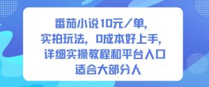 番茄小说10米每单，实拍玩法，0成本好上手，详细实操教程和平台入口适合大部分人-副业资源站