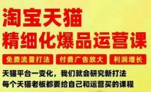 淘宝天猫精细化爆品运营课,免费流量打法-付费广告放大-利润增长-三大核心痛点,一次全部解决-副业资源站