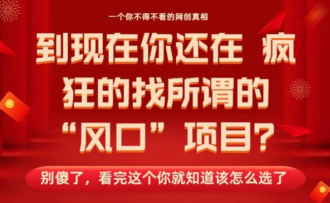 马上26年了，你还在找所谓的风口项目？别傻了，看完这个你全都懂了！【揭秘】-副业资源站