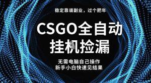 【稳定副业】全球最热门游戏CSGO全自动捡漏，最新玩法，新手小白日入5张+【揭秘】-副业资源站
