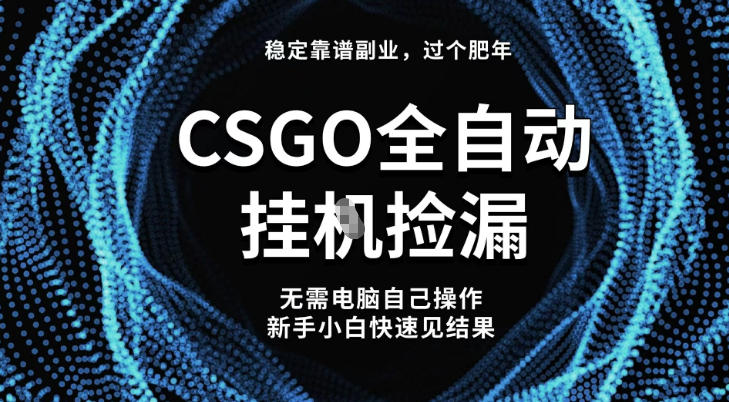 【稳定副业】全球最热门游戏CSGO全自动捡漏，最新玩法，新手小白日入5张+【揭秘】-副业资源站