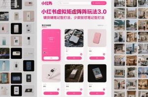 小红书虚拟矩阵玩法3.0，铺货铺笔记型打法，少款狂怼笔记型打法-副业资源站