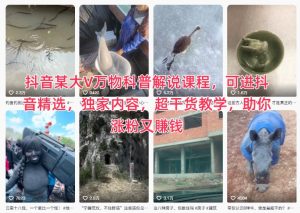抖音某大V万物科普解说课程，可进抖音精选，独家内容，超干货教学，助你涨粉又賺钱-副业资源站