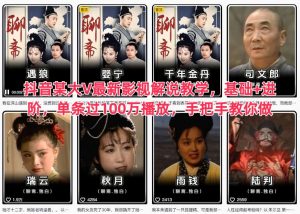 抖音某大V最新影视解说教学，基础+进阶，单条过100万播放，手把手教你做-副业资源站