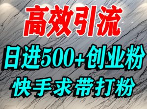 怎么打创业粉？快手求带视角精准引流创业粉，宝妈、学生群体日进500+精准流量-副业资源站