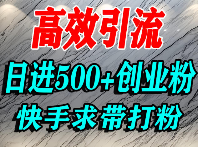 怎么打创业粉？快手求带视角精准引流创业粉，宝妈、学生群体日进500+精准流量-副业资源站