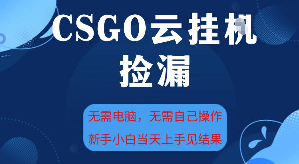 CSGO云挂G全自动捡漏，最新独家玩法，无需电脑操作，新手小白日入5张+【揭秘】-副业资源站