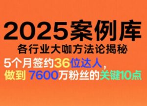 2025案例库，收录各行业大咖的方法论，各行业大咖方法论揭秘-副业资源站