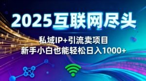 2025网创尽头王炸项目！私域IP+精准引流，新手小白在家躺賺日入1k，零经验也能上手【揭秘】-副业资源站