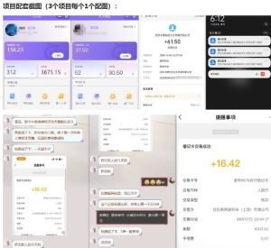 当天能收益的3个小项目拆解_包括平台+操作流程-副业资源站