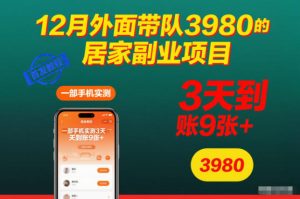 12月外面带队3980的居家副业项目,一部手机实测3天到账9张+,首发教程【揭秘】-副业资源站