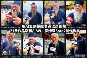 用AI复刻暴躁老道语录视频,21条作品涨粉8.8W,保姆级Sora2制作教学-副业资源站