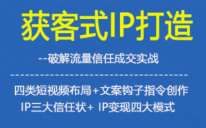 获客型IP打造,破解流量信任成,四类短视频布局+文案钩子指令创作IP三大信任状+IP变现四大模式-副业资源站