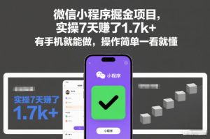 微信小程序掘金项目，实操7天賺了1.7k+，有手机就能做，操作简单一看就懂【揭秘】-副业资源站