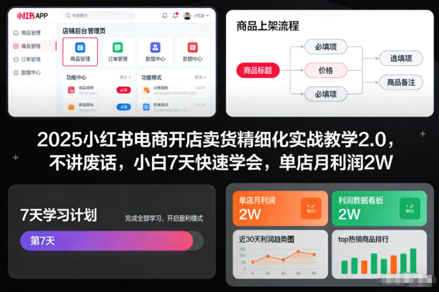 2025小红书电商开店卖货精细化实战教学2.0，不讲废话，小白7天快速学会，单店月利润2W-副业资源站
