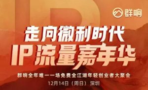 2025ip嘉年华万人12月14深圳线下课，走向微利时代，IP流量嘉年华，实操性极强的商业干货课-副业资源站