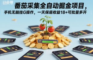 番茄采集全自动掘金项目，手机无脑挂G操作，一天保底收益18+可批量多开【揭秘】-副业资源站