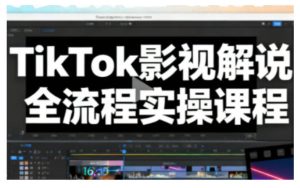 TikTok影视解说全流程实操，手把手教你打造TK爆款解说视频-副业资源站