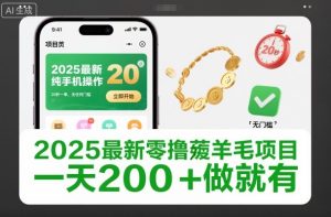 2025最新零撸薅羊毛项目，纯手机操作，20秒一单，无任何门槛，一天200+做就有【揭秘】-副业资源站