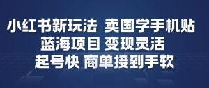 小红书新玩法，卖国学手机贴，蓝海项目，变现灵活，起号快，商单接到手软-副业资源站