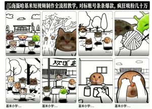 卤蛋哈基米短视频制作全流程教学，条条爆款，疯狂吸粉几十万-副业资源站