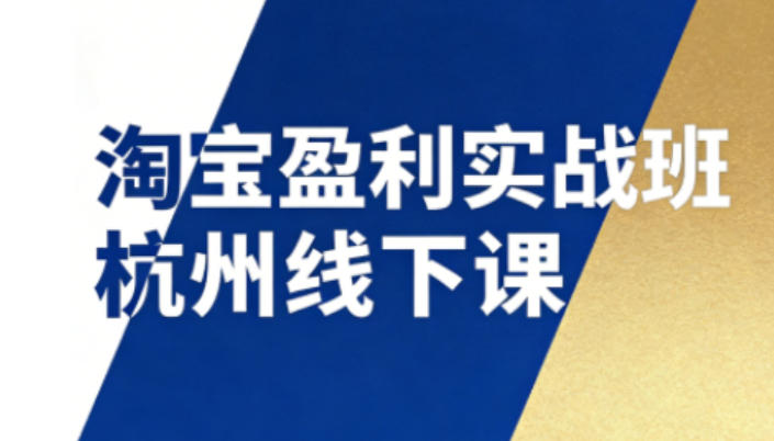 淘宝盈利实战班杭州线下课12月26-28日（音频+字幕），帮你掌握SOP流程+12门核心技术-副业资源站