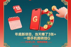 年底新项目，当天賺了3张+，一部手机搬砖挂G，5分钟上手，保姆级教程【揭秘】-副业资源站