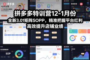 拼多多特训营12-1月份，全新3.01矩阵Sop，精准把握平台红利，高效提升店铺业绩-副业资源站