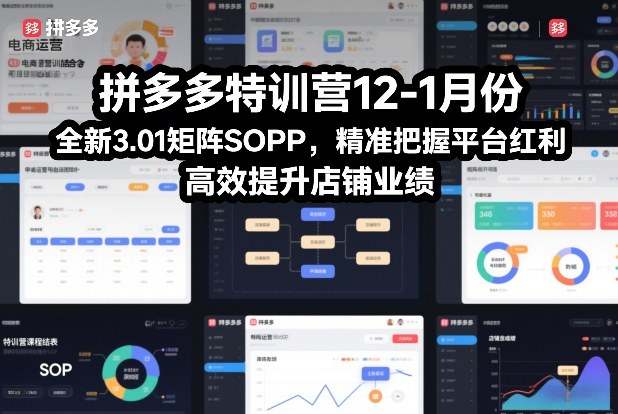 拼多多特训营12-1月份，全新3.01矩阵Sop，精准把握平台红利，高效提升店铺业绩-副业资源站