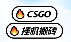 真全网独家CSGO挂G，最新玩法,单日捡漏1K+，不用电脑，不用打游戏【揭秘】-副业资源站