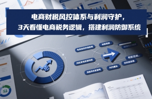 电商财税风控体系与利润守护，3天看懂电商税务逻辑，搭建利润防御系统-副业资源站