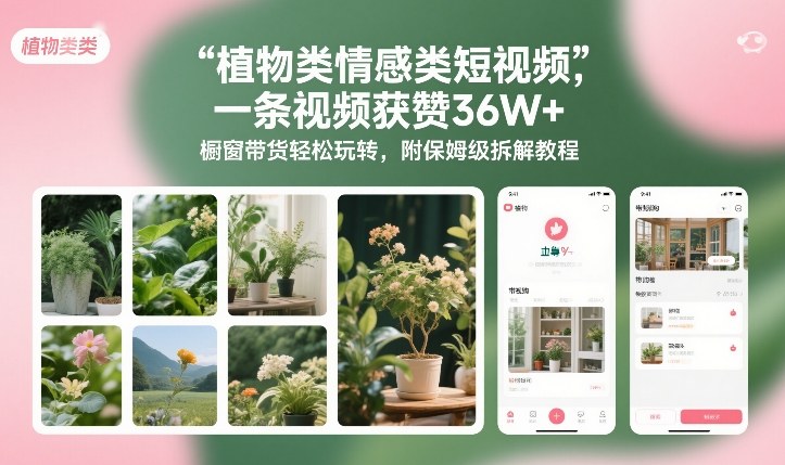 植物类情感类短视频，一条视频获赞36W+，橱窗带货轻松玩转，附保姆级拆解教程-副业资源站