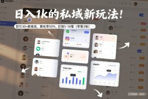 日入1k的私域新玩法：日引30+精准流，转化率50%，日销5-10笔（单笔3张）-副业资源站