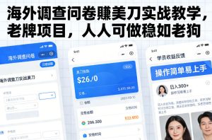 海外调查问卷賺美刀实战教学，老牌项目，人人可做稳如老狗-副业资源站