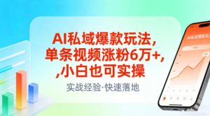 AI私域爆款玩法，单条视频涨粉6W+，小白也可实操-副业资源站