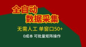 全自动数据采集，无需人工，单窗口50+，0成本可批量矩阵操作【揭秘】-副业资源站