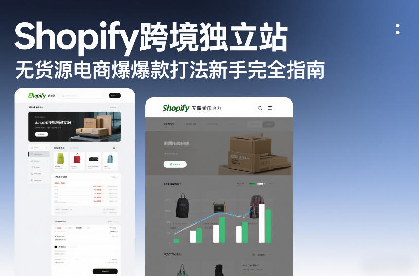 Shopify跨境独立站无货源电商爆款打法新手完全指南-副业资源站