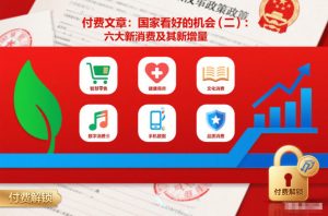 付费文章：国家看好的机会(二)：六大新消费及其新增量-副业资源站