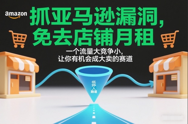 抓亚马逊漏洞，免去店铺月租，一个流量大竞争小，让你有机会成大卖的赛道-副业资源站