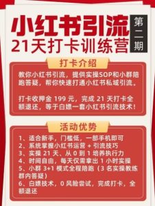 小红书引流21天打卡训练营第二期，助你快速打通小红书私域引流打粉-副业资源站