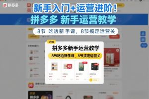 新手入门+运营进阶！拼多多新手运营教学，8节吃透新手课，8节搞定运营关-副业资源站