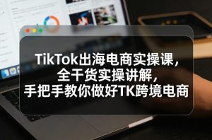 TikTok出海电商实操课，全干货实操讲解，手把手教你做好TK跨境电商-副业资源站